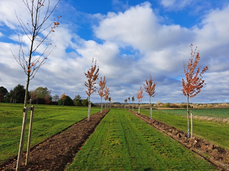 Newbury Farm Arboretum